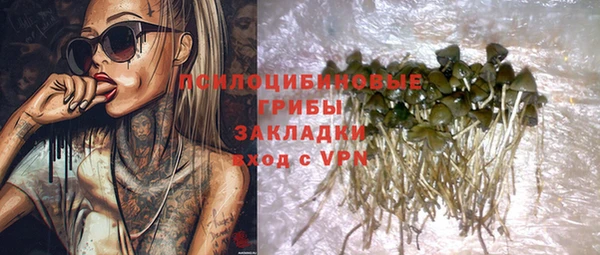 PSILOCYBIN Абаза