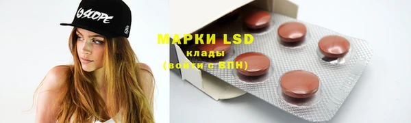 PSILOCYBIN Абаза
