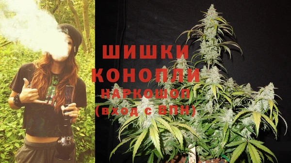 PSILOCYBIN Абаза